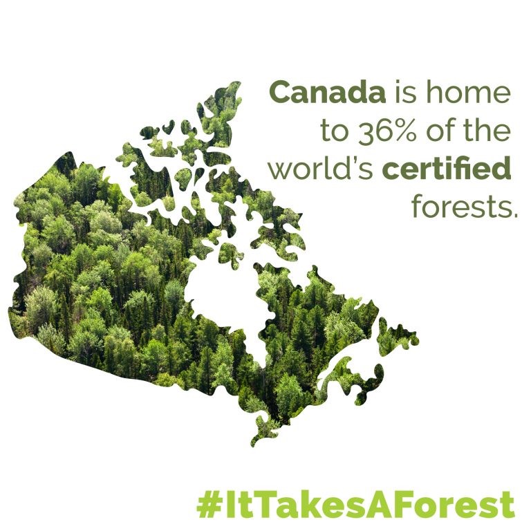 Boundary Waters
                              Forest Certification
